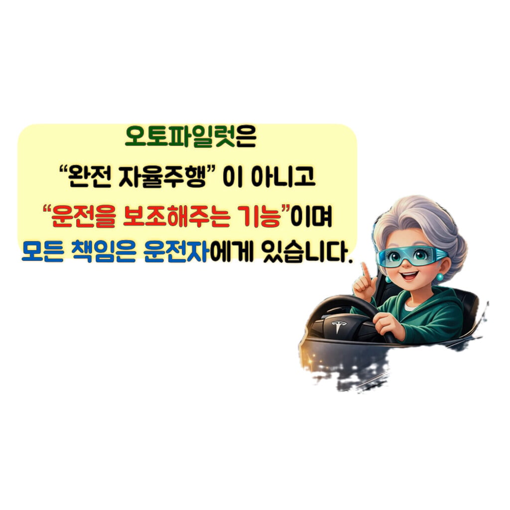 오토파일럿은 "완전자율주행"이 아니고 "운전을 보조해주는 기능"이며 모든책은 운전자에게 있습니다