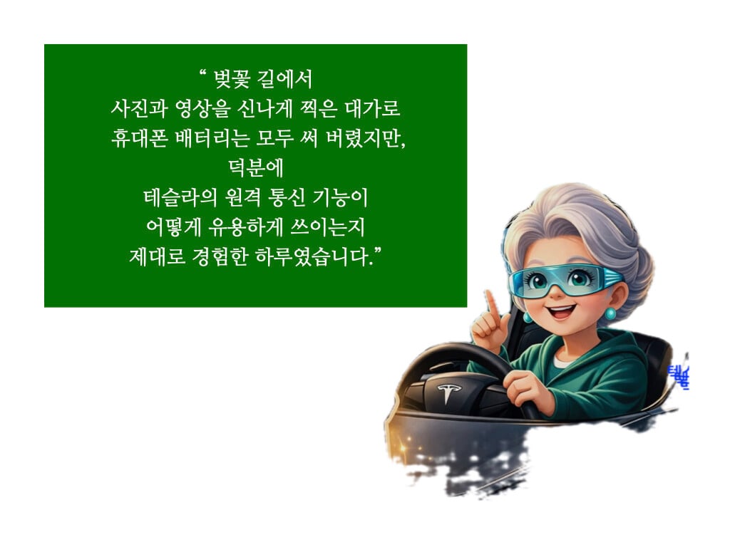 시그니처 이미지-벗꽃길에서 원격 잠금 해제