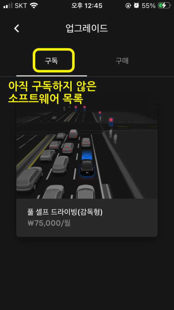 테슬라 앱 소프트웨어 구독할 수 있는 화면