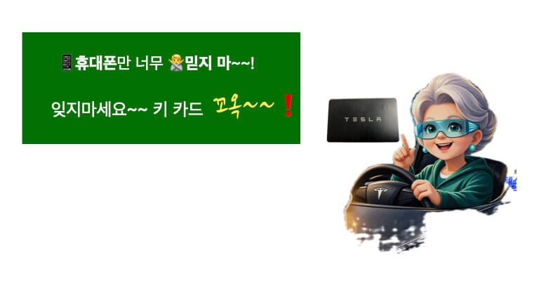 시그니처 이미지 - 테슬라 키 카드 꼭 소지